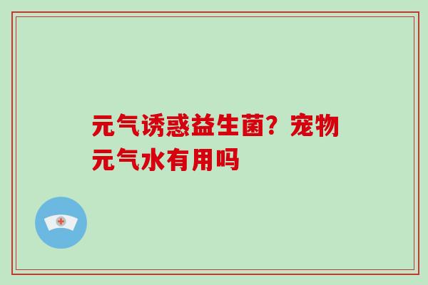 元气诱惑益生菌？宠物元气水有用吗