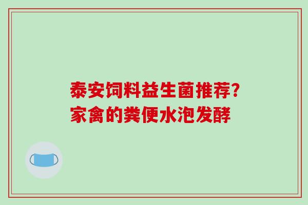 泰安饲料益生菌推荐？家禽的粪便水泡发酵