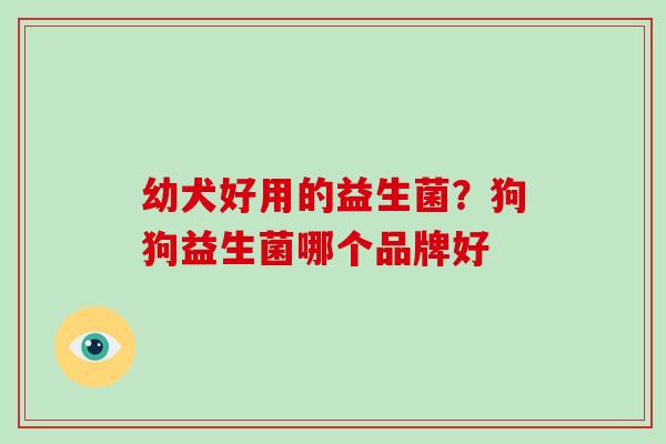 幼犬好用的益生菌？狗狗益生菌哪个品牌好