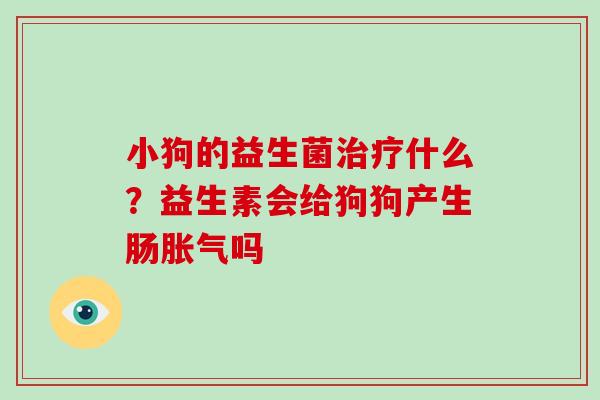 小狗的益生菌治疗什么？益生素会给狗狗产生肠胀气吗