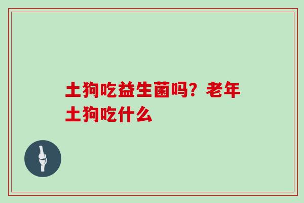 土狗吃益生菌吗？老年土狗吃什么