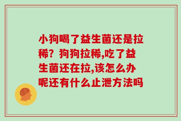 小狗喝了益生菌还是拉稀？狗狗拉稀,吃了益生菌还在拉,该怎么办呢还有什么止泄方法吗