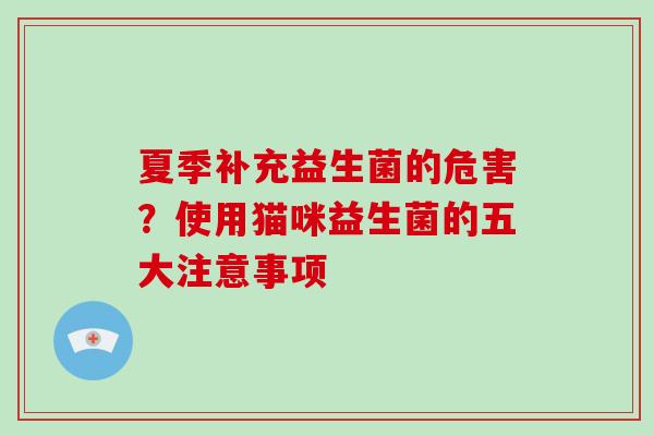 夏季补充益生菌的危害?使用猫咪益生菌的五大注意事项 夏季补充益生菌的危害?使用猫咪益生菌的五大注意事项