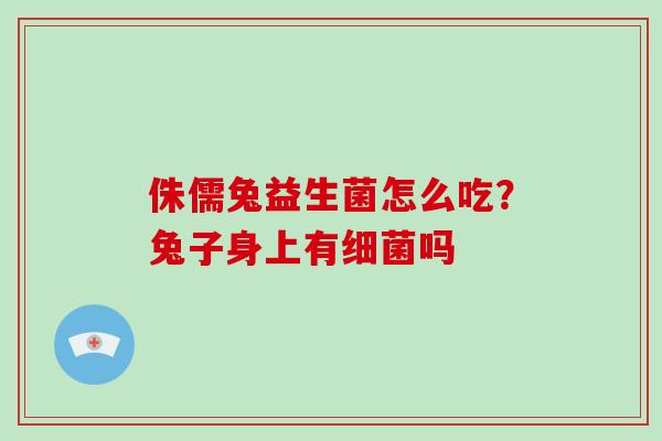 侏儒兔益生菌怎么吃？兔子身上有吗