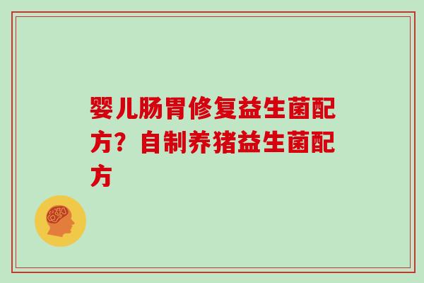 婴儿肠胃修复益生菌配方？自制养猪益生菌配方
