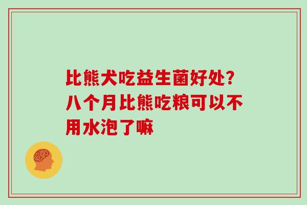 比熊犬吃益生菌好处?八个月比熊吃粮可以不用水泡了嘛 比熊犬吃益生菌好处?八个月比熊吃粮可以不用水泡了嘛