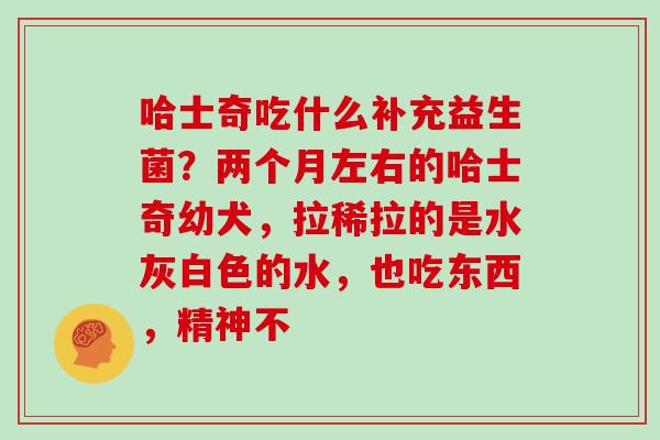 哈士奇吃什么补充益生菌？两个月左右的哈士奇幼犬，拉稀拉的是水灰白色的水，也吃东西，精神不