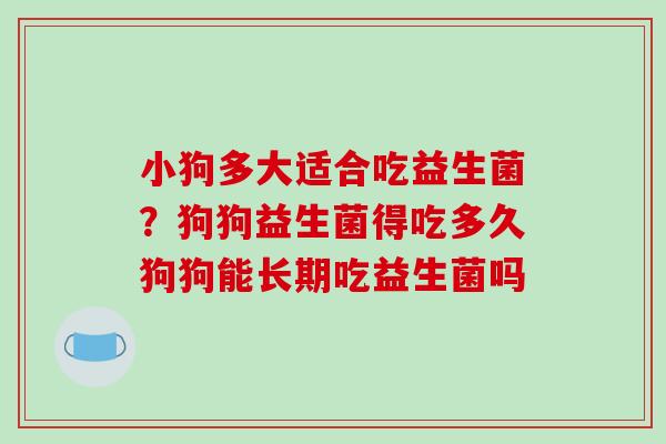 小狗多大适合吃益生菌？狗狗益生菌得吃多久狗狗能长期吃益生菌吗