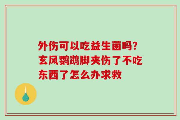 外伤可以吃益生菌吗？玄风鹦鹉脚夹伤了不吃东西了怎么办求救