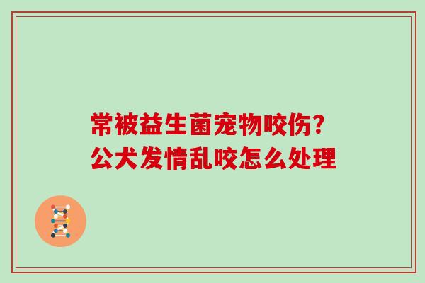 常被益生菌宠物咬伤？公犬发情乱咬怎么处理