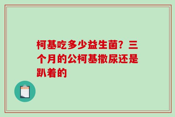 柯基吃多少益生菌?三个月的公柯基撒尿还是趴着的 柯基吃多少益生菌?三个月的公柯基撒尿还是趴着的