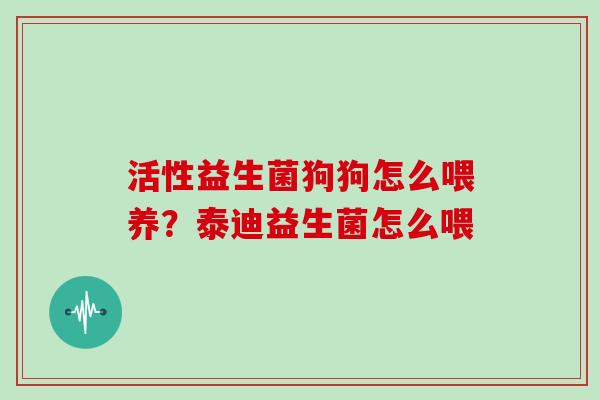 活性益生菌狗狗怎么喂养？泰迪益生菌怎么喂