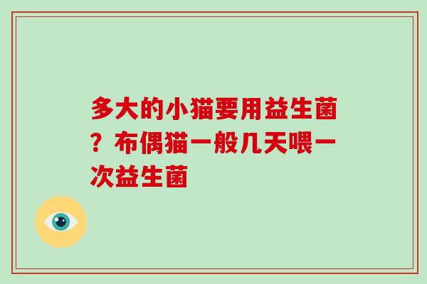 多大的小猫要用益生菌？布偶猫一般几天喂一次益生菌