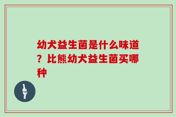 幼犬益生菌是什么味道？比熊幼犬益生菌买哪种