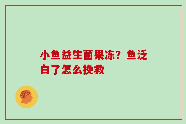 小鱼益生菌果冻？鱼泛白了怎么挽救