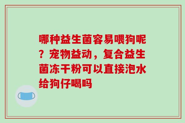 哪种益生菌容易喂狗呢？宠物益动，复合益生菌冻干粉可以直接泡水给狗仔喝吗