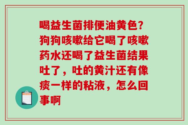 喝益生菌排便油黄色？狗狗给它喝了药水还喝了益生菌结果吐了，吐的黄汁还有像痰一样的粘液，怎么回事啊