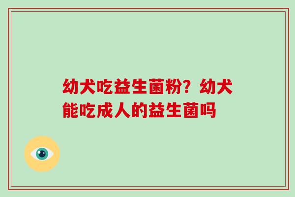 幼犬吃益生菌粉？幼犬能吃成人的益生菌吗