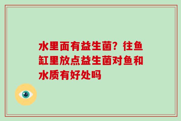 水里面有益生菌？往鱼缸里放点益生菌对鱼和水质有好处吗