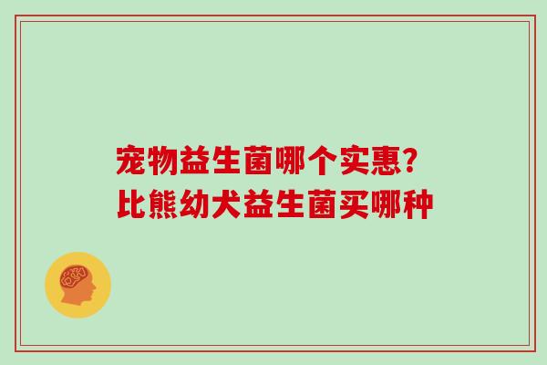宠物益生菌哪个实惠？比熊幼犬益生菌买哪种