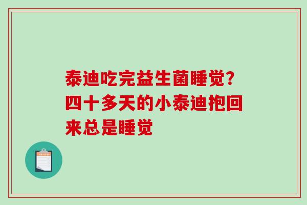 泰迪吃完益生菌睡觉？四十多天的小泰迪抱回来总是睡觉