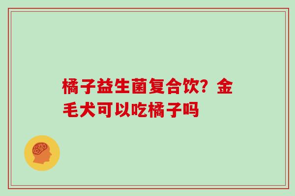 橘子益生菌复合饮？金毛犬可以吃橘子吗