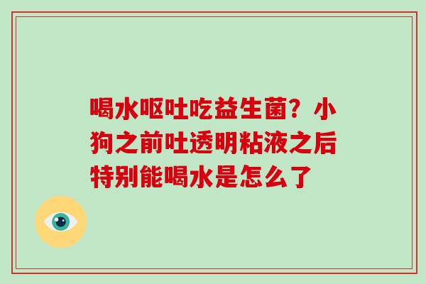 喝水吃益生菌？小狗之前吐透明粘液之后特别能喝水是怎么了