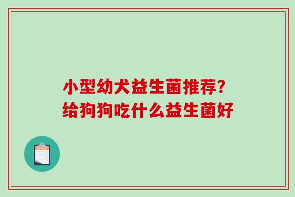 小型幼犬益生菌推荐？给狗狗吃什么益生菌好