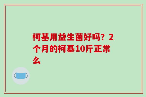 柯基用益生菌好吗？2个月的柯基10斤正常么