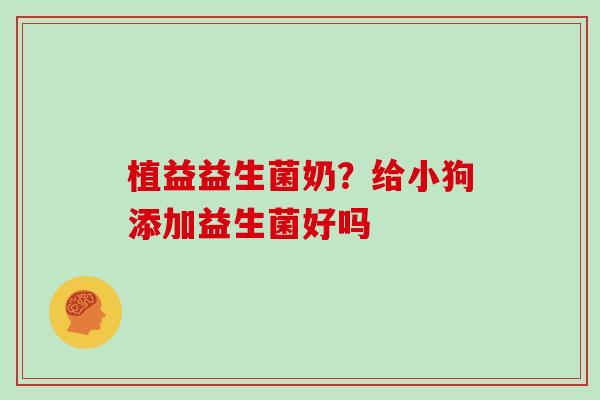 植益益生菌奶？给小狗添加益生菌好吗