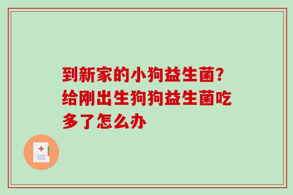 到新家的小狗益生菌？给刚出生狗狗益生菌吃多了怎么办