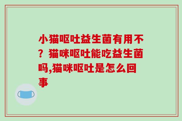 小猫益生菌有用不？猫咪能吃益生菌吗,猫咪是怎么回事