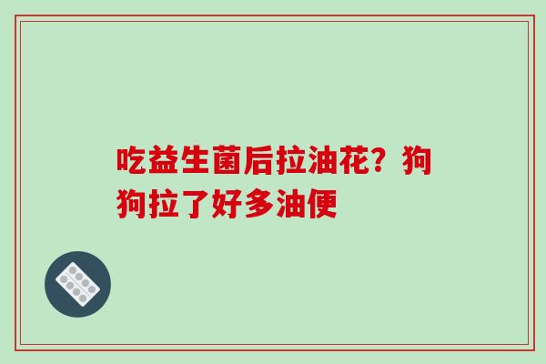 吃益生菌后拉油花？狗狗拉了好多油便