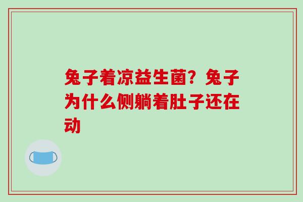兔子着凉益生菌？兔子为什么侧躺着肚子还在动
