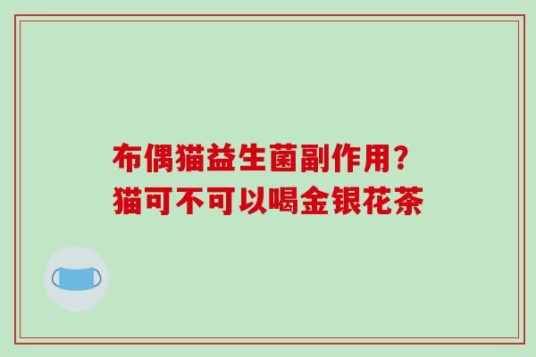 布偶猫益生菌副作用？猫可不可以喝金银花茶