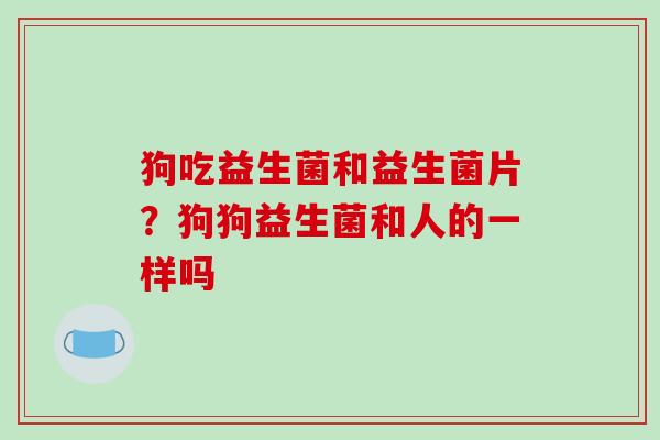 狗吃益生菌和益生菌片？狗狗益生菌和人的一样吗