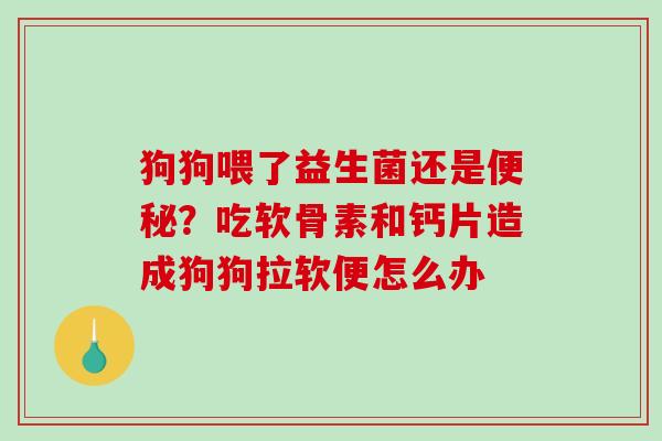 狗狗喂了益生菌还是？吃软骨素和钙片造成狗狗拉软便怎么办