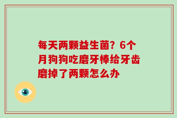 每天两颗益生菌？6个月狗狗吃磨牙棒给牙齿磨掉了两颗怎么办