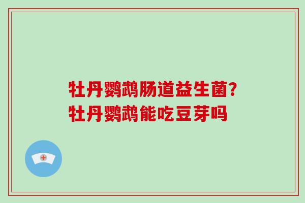 牡丹鹦鹉肠道益生菌?牡丹鹦鹉能吃豆芽吗 牡丹鹦鹉肠道益生菌?牡丹鹦鹉能吃豆芽吗