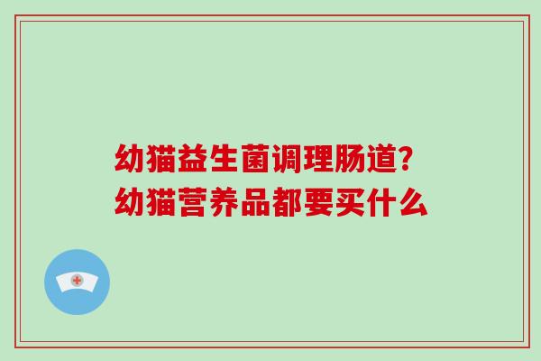 幼猫益生菌调理肠道？幼猫营养品都要买什么