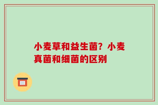 小麦草和益生菌？小麦真菌和的区别