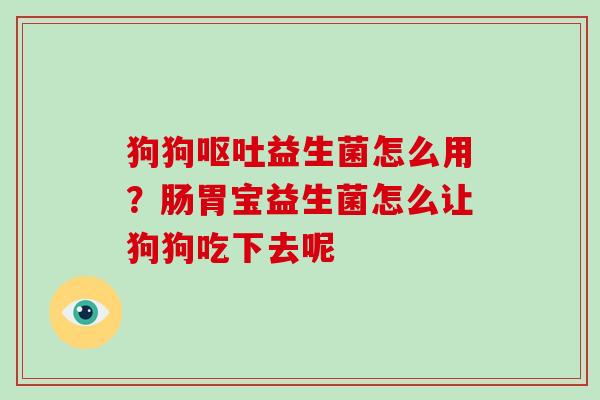 狗狗益生菌怎么用？肠胃宝益生菌怎么让狗狗吃下去呢