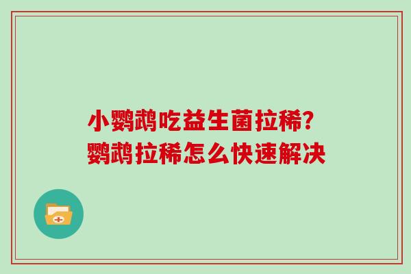 小鹦鹉吃益生菌拉稀？鹦鹉拉稀怎么快速解决