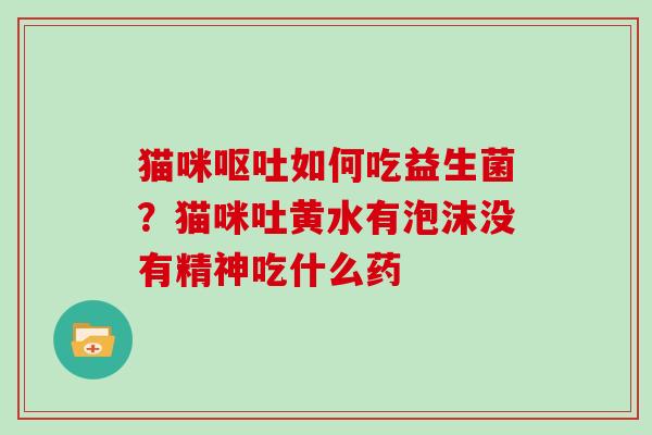 猫咪呕吐如何吃益生菌？猫咪吐黄水有泡沫没有精神吃什么药