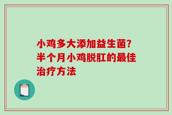 小鸡多大添加益生菌？半个月小鸡脱肛的最佳治疗方法