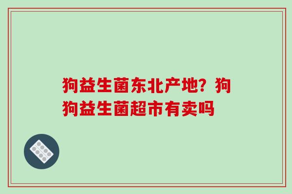 狗益生菌东北产地？狗狗益生菌超市有卖吗