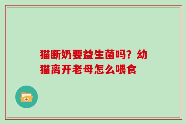 猫断奶要益生菌吗？幼猫离开老母怎么喂食