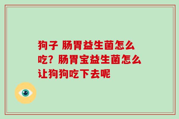 狗子 肠胃益生菌怎么吃?肠胃宝益生菌怎么让狗狗吃下去呢 狗子 肠胃益生菌怎么吃?肠胃宝益生菌怎么让狗狗吃下去呢