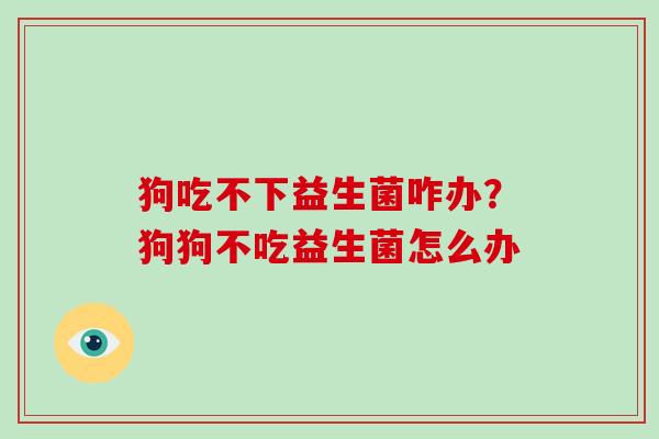 狗吃不下益生菌咋办？狗狗不吃益生菌怎么办