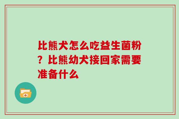 比熊犬怎么吃益生菌粉？比熊幼犬接回家需要准备什么